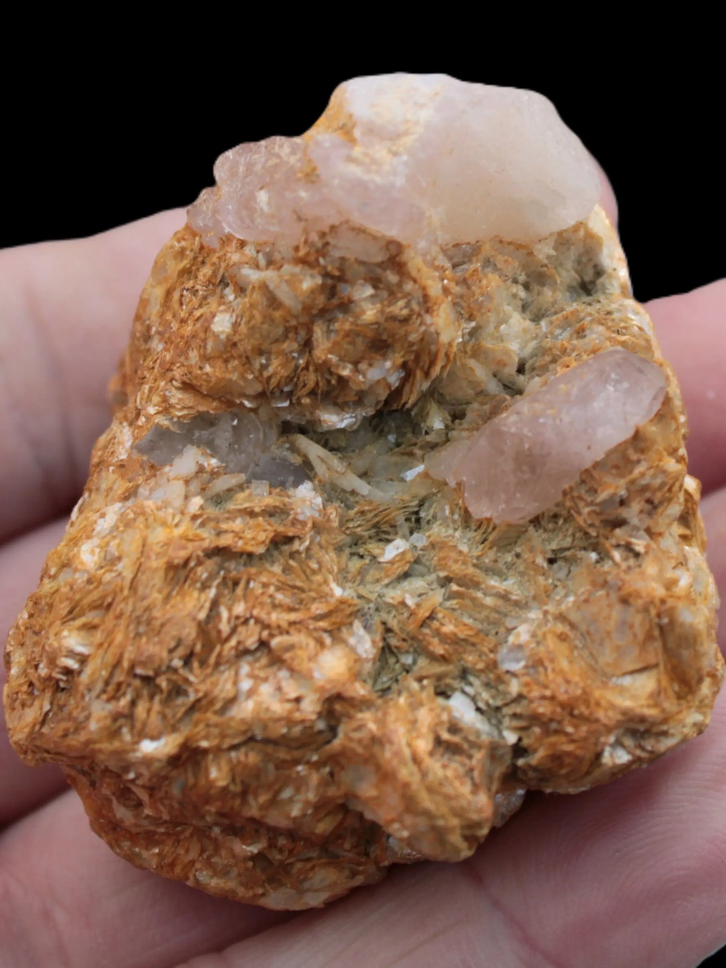 Pink Morganite crystals in Mica matrix from Afghanistan 300.5ct 60.1g Rocks and Things