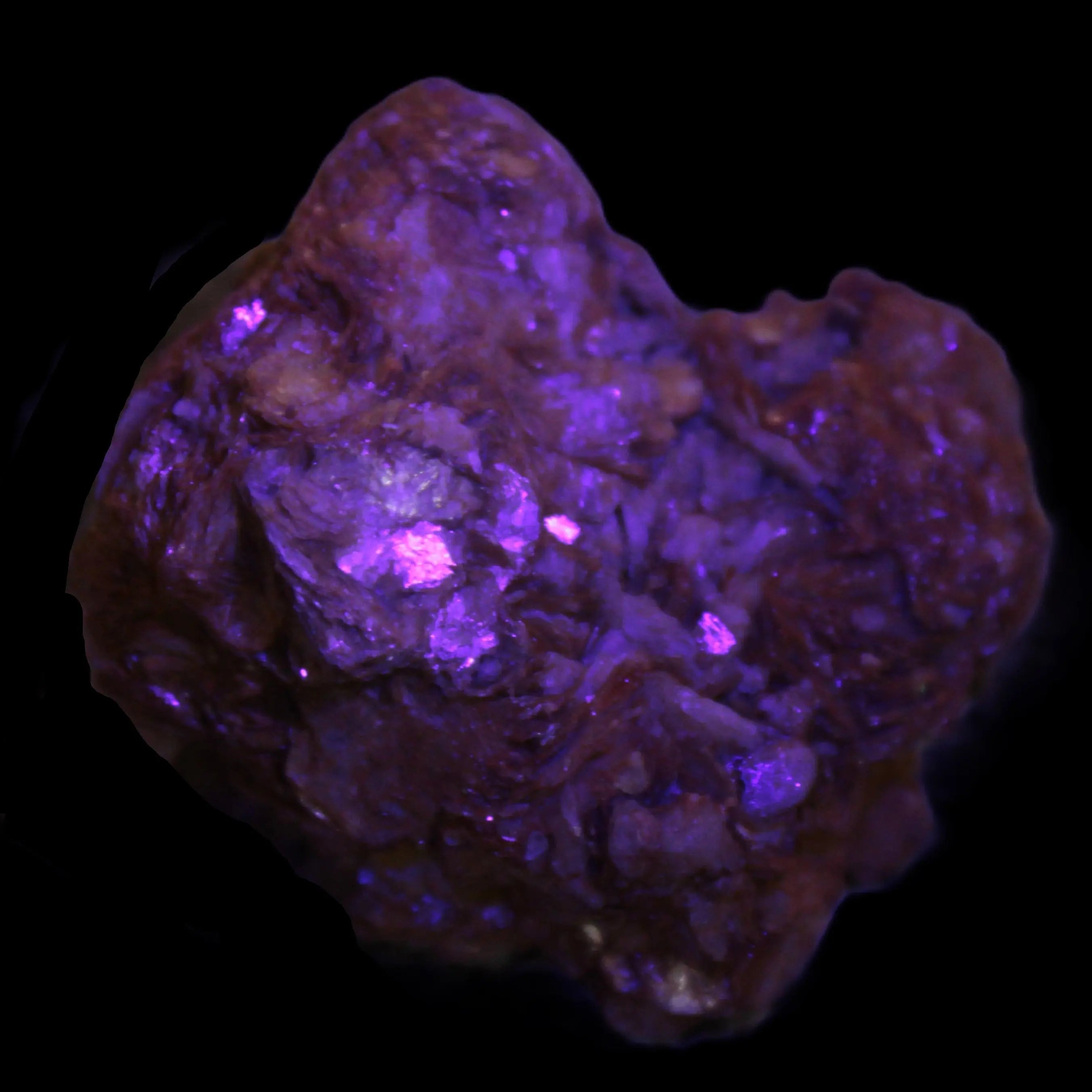 Pink Morganite crystals in Mica matrix from Afghanistan 300.5ct 60.1g in UV light - Rocks and Things Store