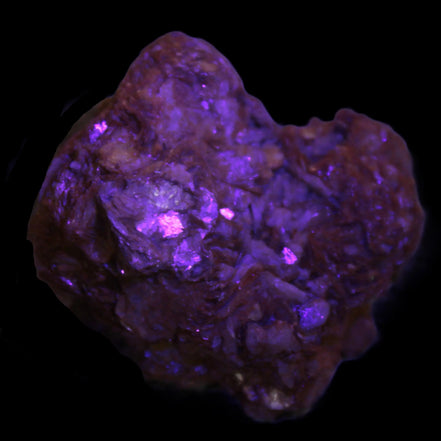 Pink Morganite crystals in Mica matrix from Afghanistan 300.5ct 60.1g in UV light - Rocks and Things Store