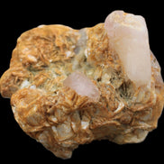 Pink Morganite crystals in Mica matrix from Afghanistan 300.5ct 60.1g in sunlight - Rocks and Things Store