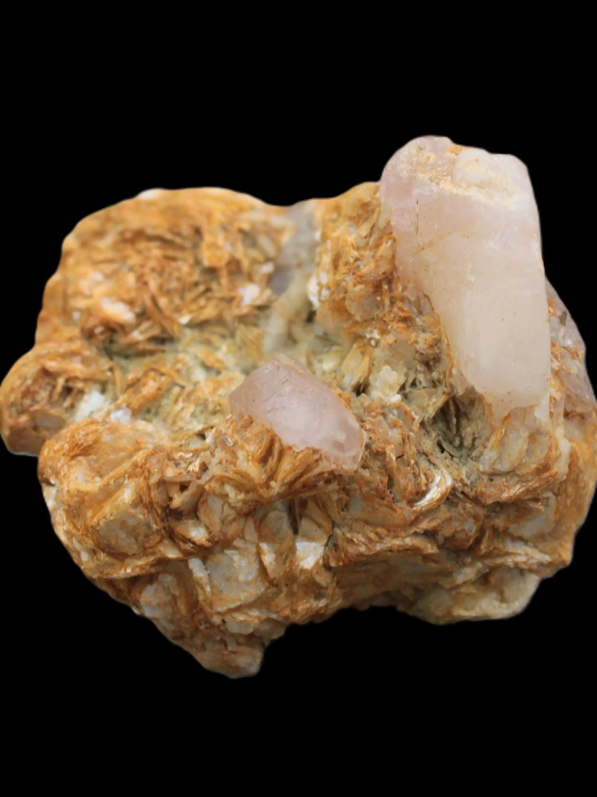Pink Morganite crystals in Mica matrix from Afghanistan 300.5ct 60.1g in sunlight - Rocks and Things Store