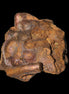Rainbow Grape Hematite 111g in sunlight - Rocks and Things Store