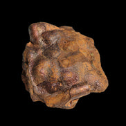 Rainbow Grape Hematite 111g in sunlight - Rocks and Things Store