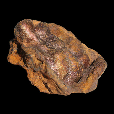 Rainbow Grape Hematite 111g in sunlight - Rocks and Things Store