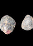 Red Garnet 9-12g Rocks and Things