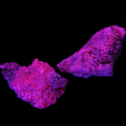 Ruby Natural Corundum crystals 12-14g in UV light