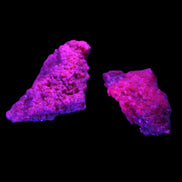 Ruby Natural Corundum crystals 12-14g in UV light