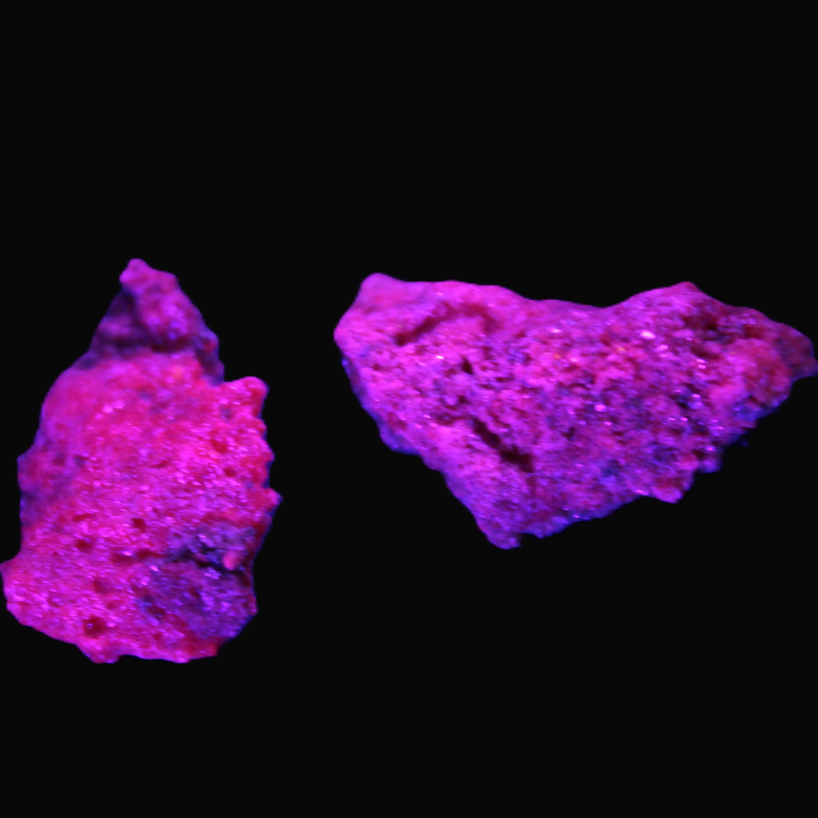 Ruby Natural Corundum crystals 12-14g in UV light