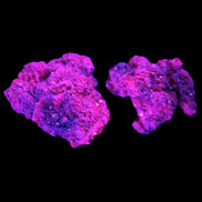 Ruby Natural Corundum crystals 12-14g in UV light
