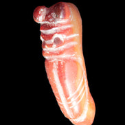 Sardonyx weird carved penis pendant 102g Rocks and Things