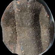 Septarian Dragon Stone egg 330g Rocks and Things