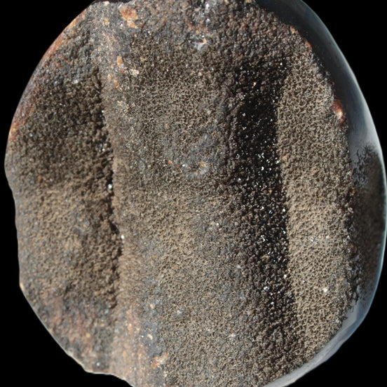 Septarian Dragon Stone egg 330g in sunlight - Rocks and Things Store