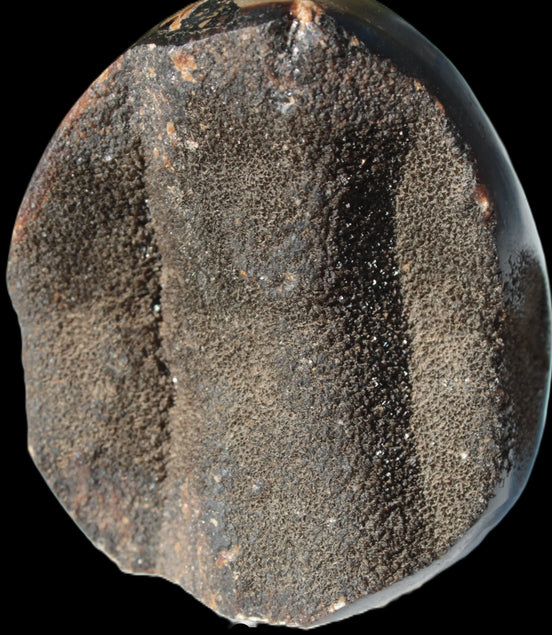 Septarian Dragon Stone egg 330g Rocks and Things