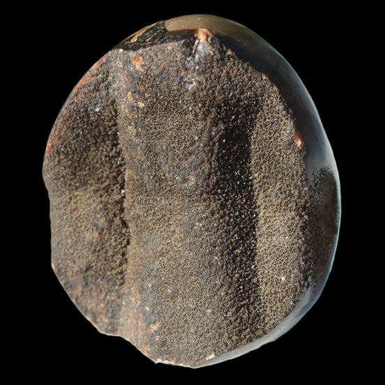 Septarian Dragon Stone egg 330g in sunlight - Rocks and Things Store