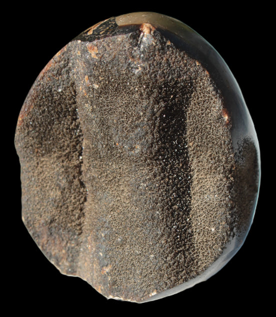 Septarian Dragon Stone egg 330g Rocks and Things