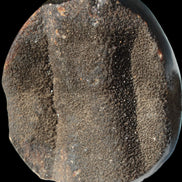 Septarian Dragon Stone egg 330g Rocks and Things