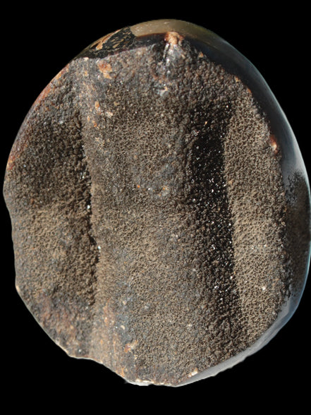Septarian Dragon Stone egg 330g Rocks and Things