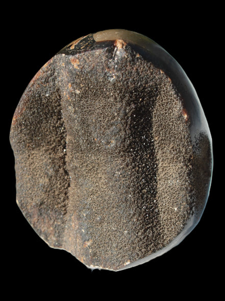 Septarian Dragon Stone egg 330g Rocks and Things