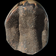 Septarian Dragon Stone egg 330g Rocks and Things