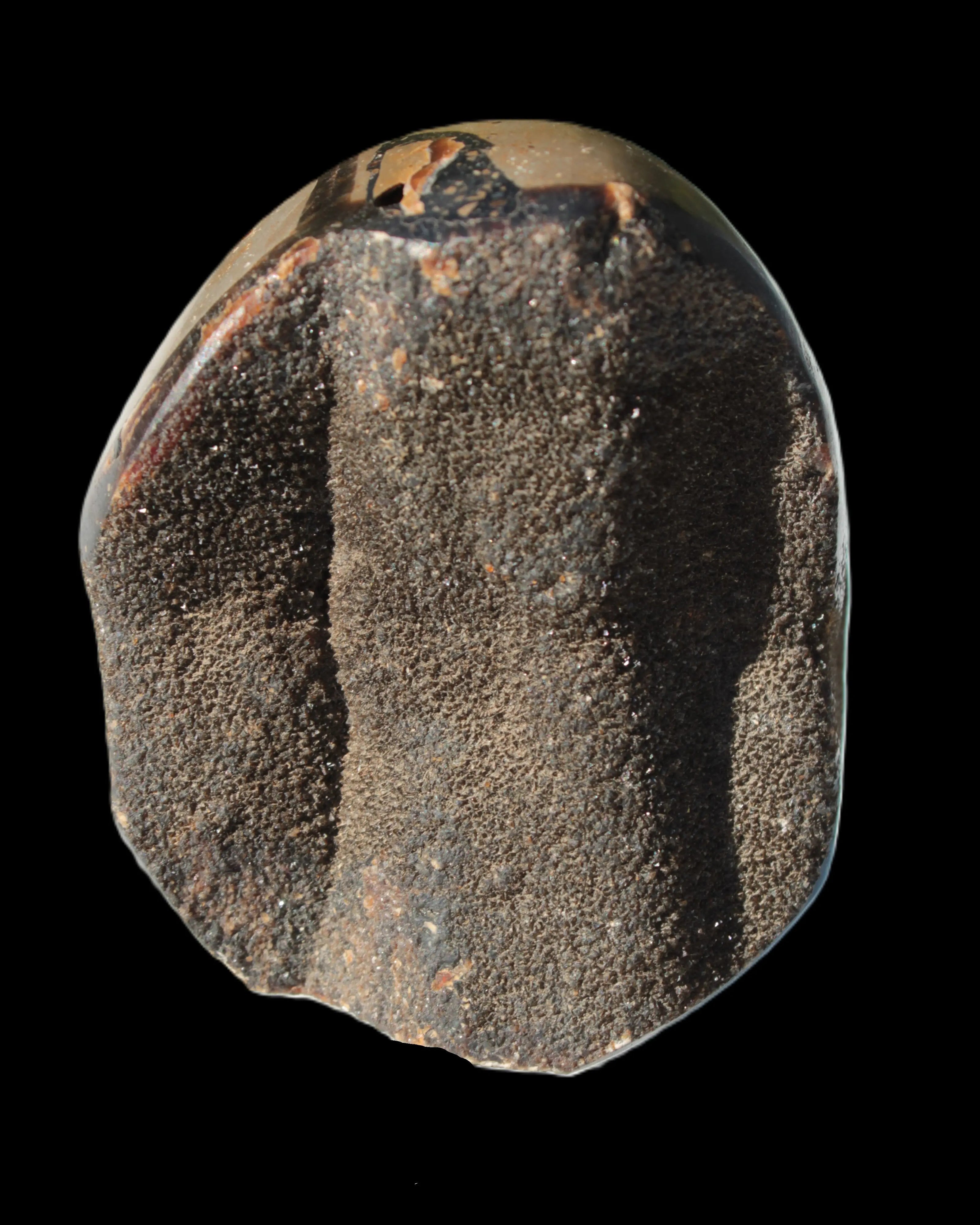 Septarian Dragon Stone egg 330g Rocks and Things
