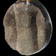 Septarian Dragon Stone egg 330g Rocks and Things