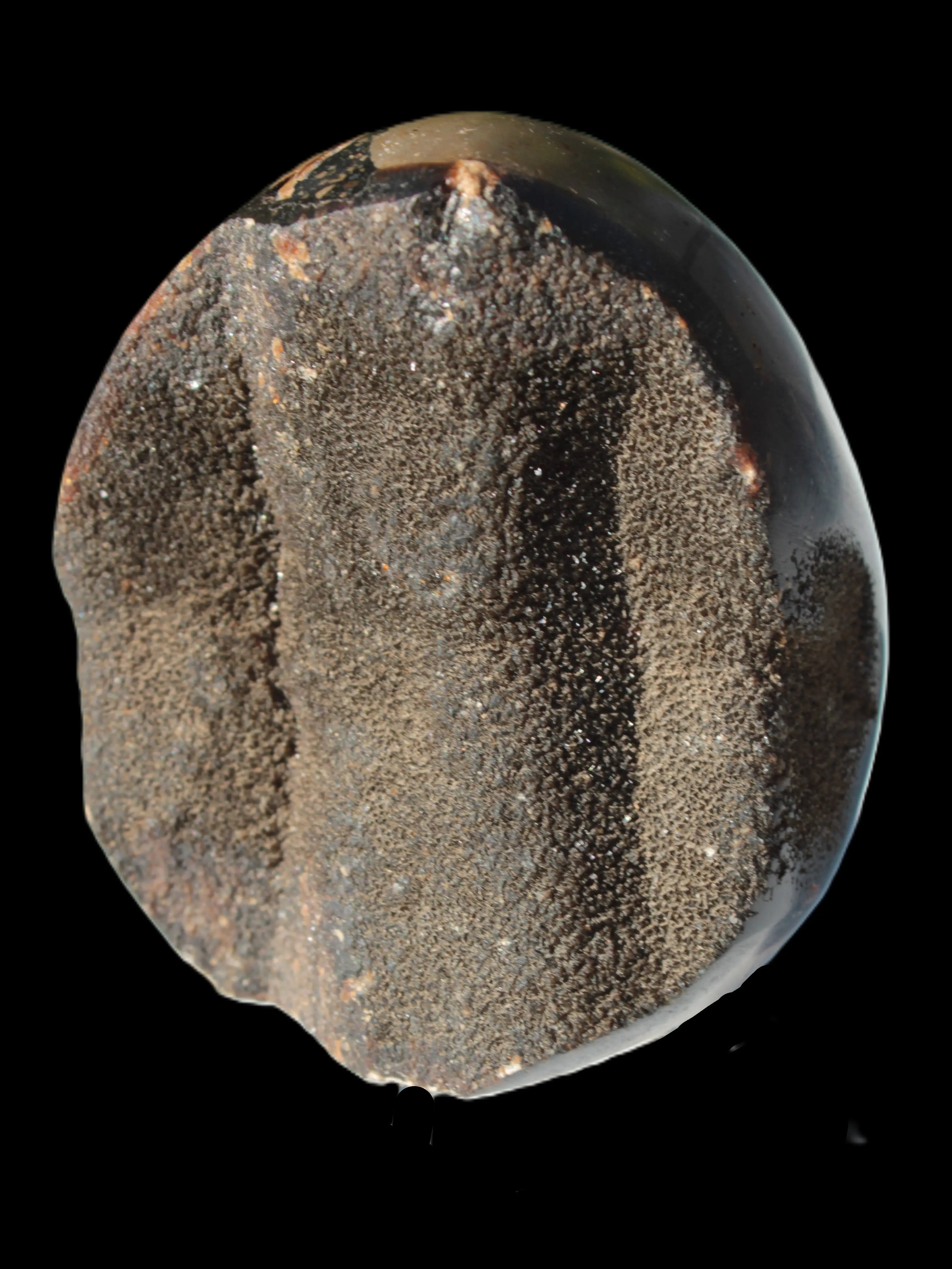 Septarian Dragon Stone egg 330g Rocks and Things