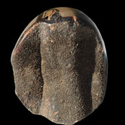 Septarian Dragon Stone egg 330g Rocks and Things