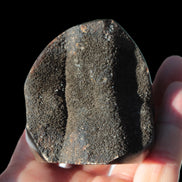 Septarian Dragon Stone egg 330g Rocks and Things