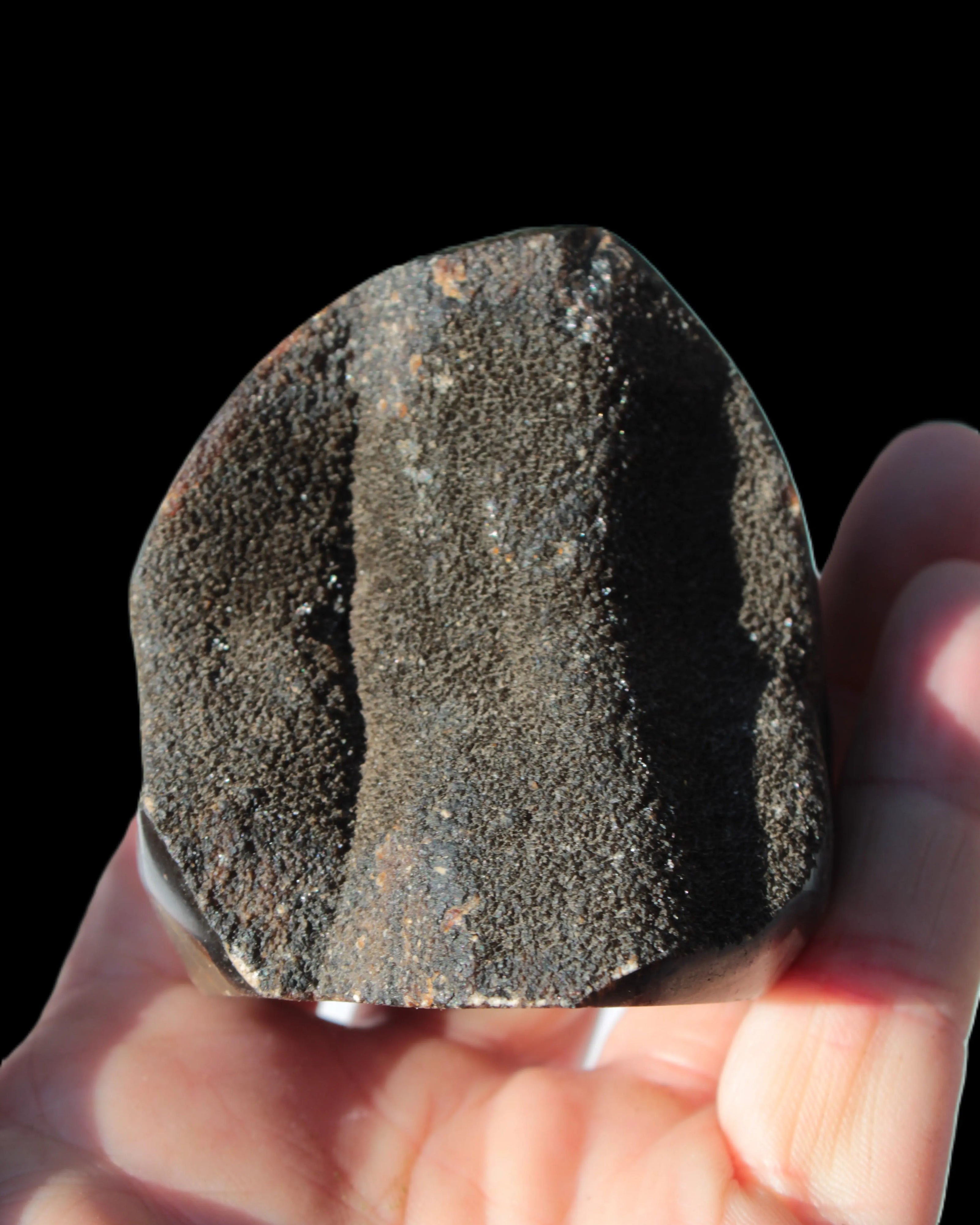 Septarian Dragon Stone egg 330g Rocks and Things