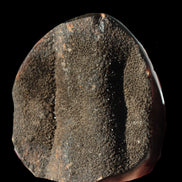 Septarian Dragon Stone egg 330g Rocks and Things