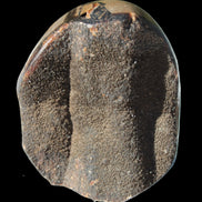 Septarian Dragon Stone egg 330g Rocks and Things