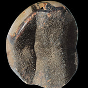 Septarian Dragon Stone egg 330g Rocks and Things