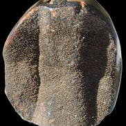 Septarian Dragon Stone egg 330g Rocks and Things