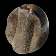 Septarian Dragon Stone egg 330g Rocks and Things