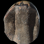 Septarian Dragon Stone egg 330g Rocks and Things