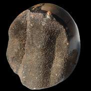 Septarian Dragon Stone egg 330g Rocks and Things