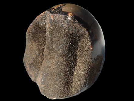 Septarian Dragon Stone egg 330g Rocks and Things