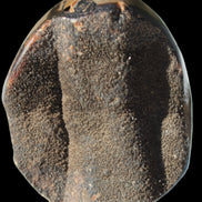 Septarian Dragon Stone egg 330g Rocks and Things