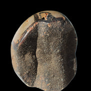 Septarian Dragon Stone egg 330g Rocks and Things