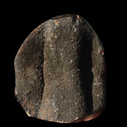 Septarian Dragon Stone egg 330g Rocks and Things