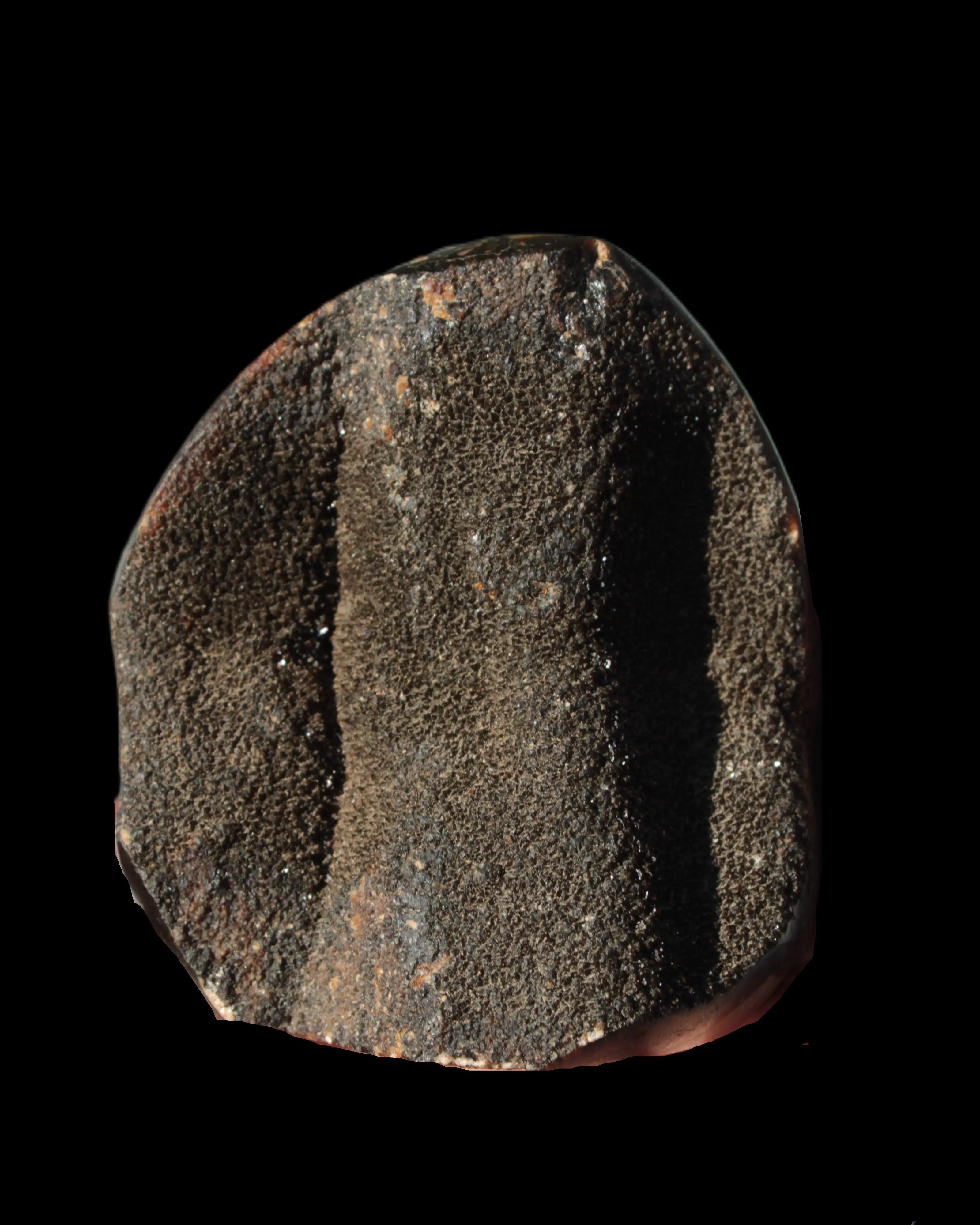 Septarian Dragon Stone egg 330g Rocks and Things