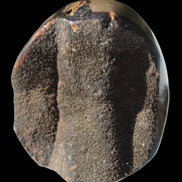 Septarian Dragon Stone egg 330g Rocks and Things