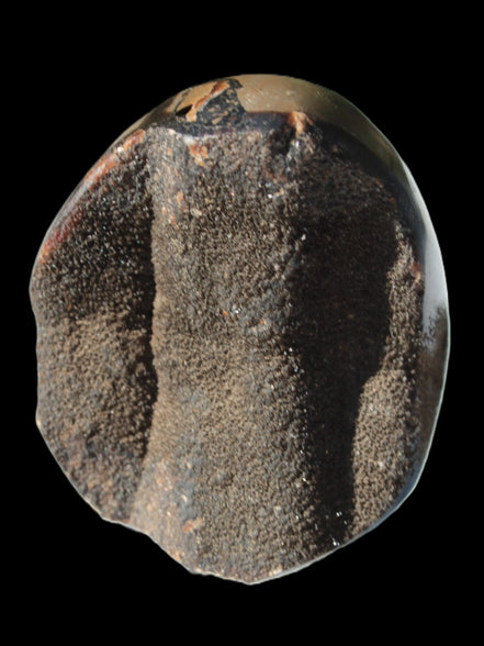 Septarian Dragon Stone egg 330g Rocks and Things