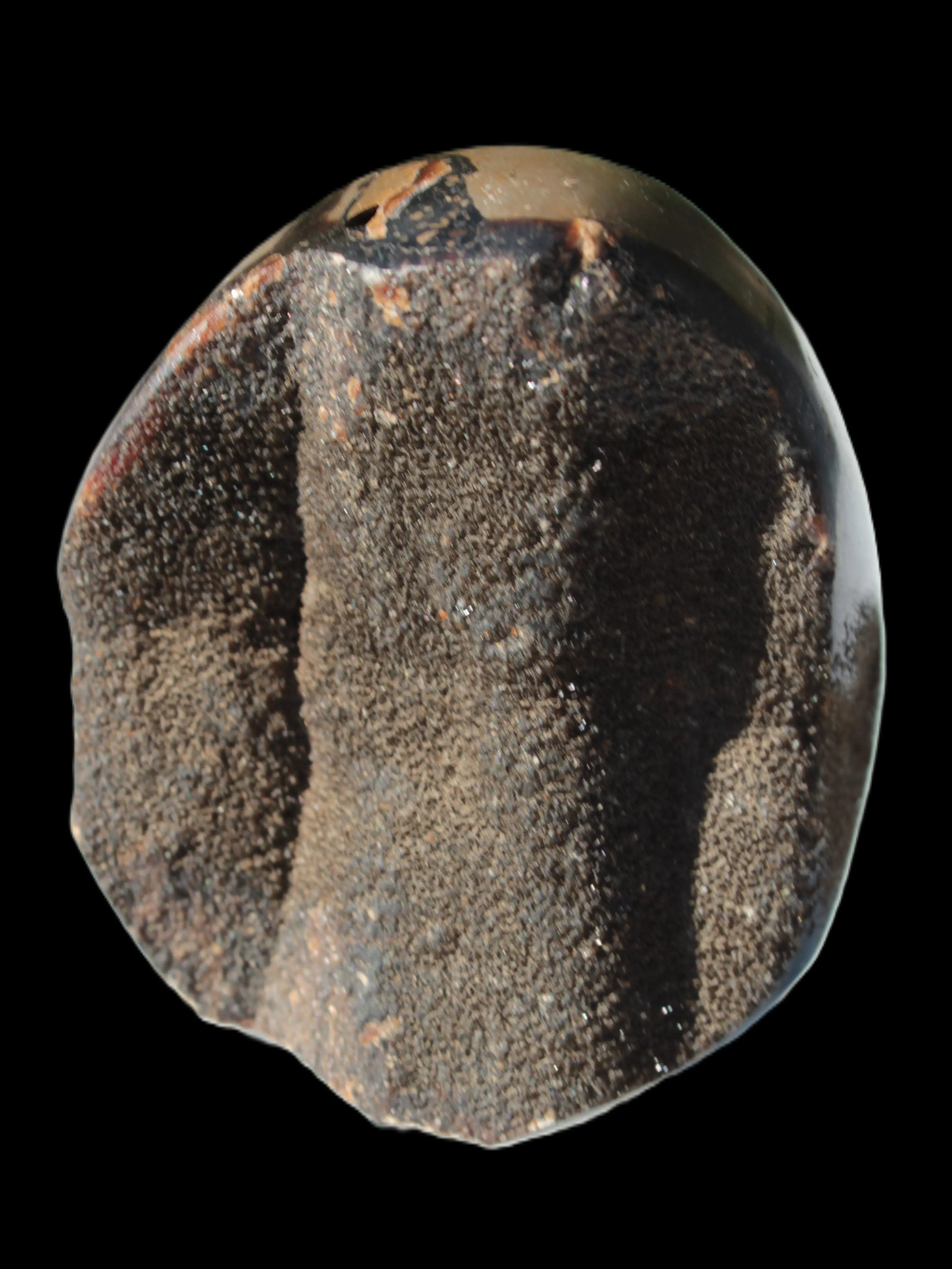 Septarian Dragon Stone egg 330g Rocks and Things