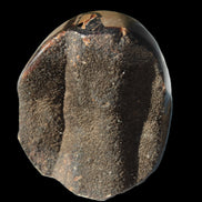 Septarian Dragon Stone egg 330g Rocks and Things