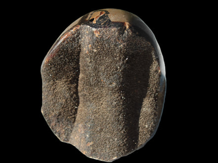 Septarian Dragon Stone egg 330g Rocks and Things