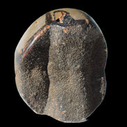 Septarian Dragon Stone egg 330g Rocks and Things