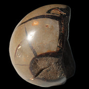 Septarian Dragon Stone egg 330g Rocks and Things