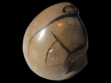 Septarian Dragon Stone egg 330g Rocks and Things
