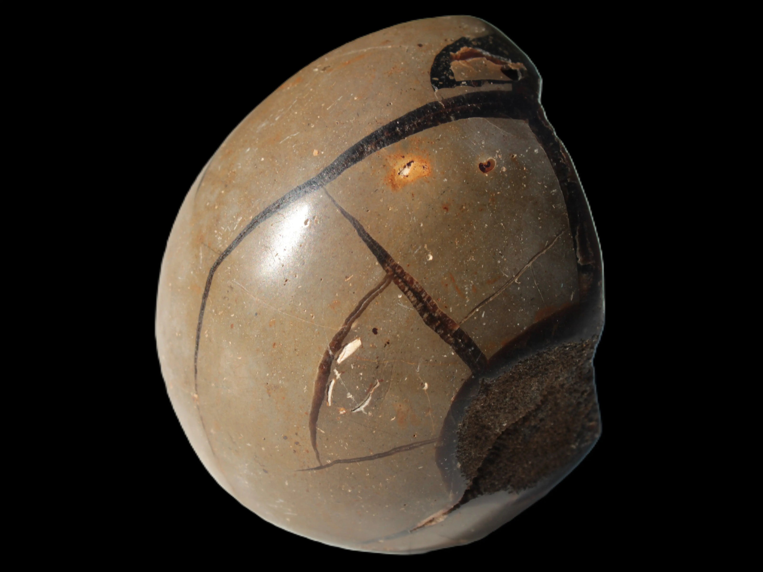 Septarian Dragon Stone egg 330g Rocks and Things
